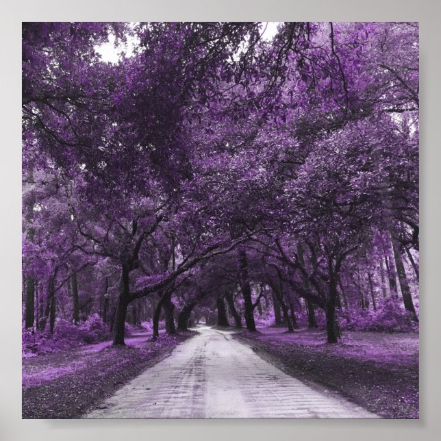 Straßenplakat Poster (Vorne)