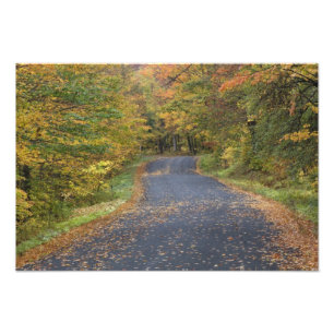 Straßenrand Herbstlaub, Süd-Vermont, USA Fotodruck