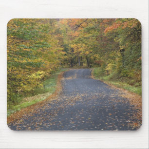 Straßenrand Herbstlaub, Süd-Vermont, USA Mousepad