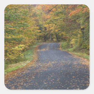 Straßenrand Herbstlaub, Süd-Vermont, USA Quadratischer Aufkleber