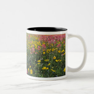 Straßenrand-Wildblumen in Texas, Frühling Zweifarbige Tasse
