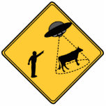 Straßenschild- Kuh und UFO Fotoskulptur Magnet<br><div class="desc">"Hey,  schau dir das an!" Funny imaginäres UFO-Zeichen gemacht im Stil eines Straßenschildes.</div>