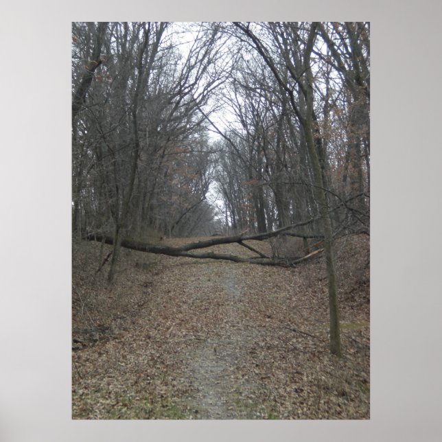 Straßensperre Poster (Vorne)