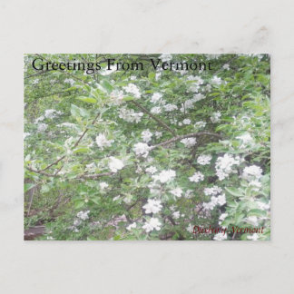 Straßenwunder Postkarte