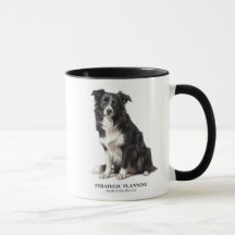 Strategic Planning Border Collie