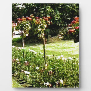 Stratford-nach-Avon Garten-Rose snap-29602 jGibney Fotoplatte