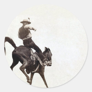 Sträubendes wildes Pferd Runder Aufkleber