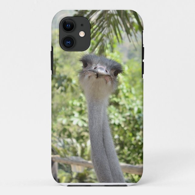 Strauß Case-Mate iPhone Hülle (Rückseite)