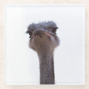 Strauß Glasuntersetzer