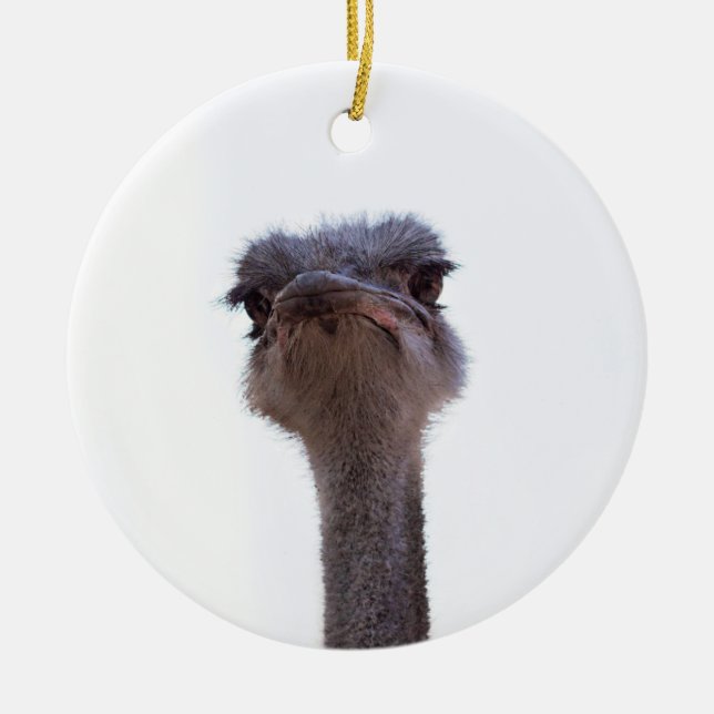 Strauß Keramik Ornament (Vorne)