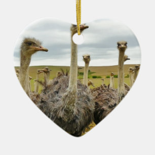 Strauß Keramikornament