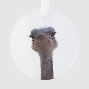 Strauß Ornament