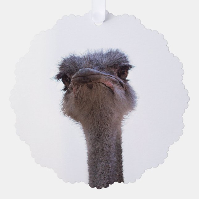 Strauß Ornament Karte (Vorderseite)