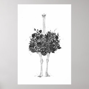 Strauß Poster