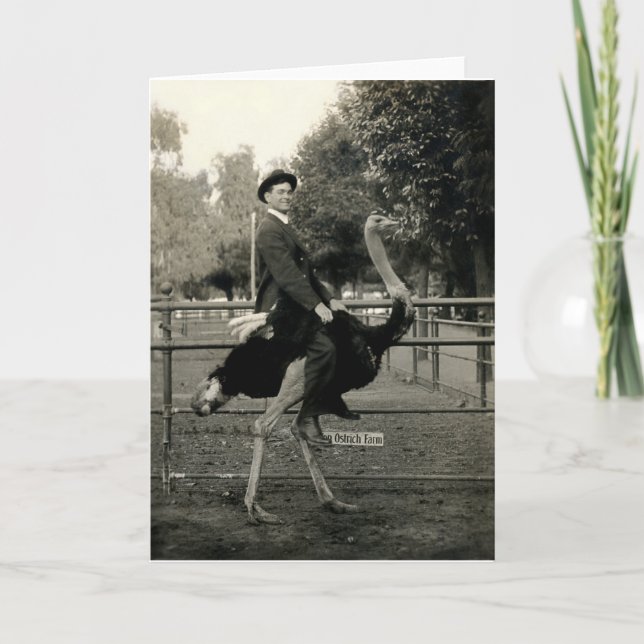 Strauß-Reiten 1910 Karte (Vorderseite)