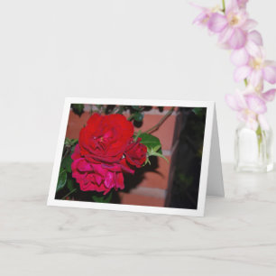 Strauß roter Rosen Karte