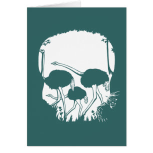 Strauß-Schädel-Illusion