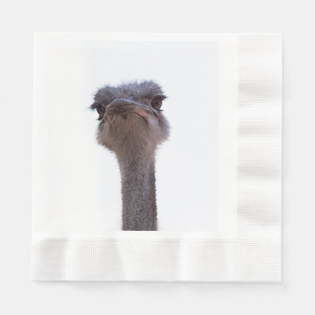 Strauß Serviette (Vorderseite)