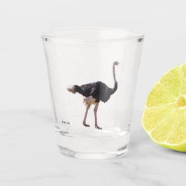 Strauß Shotglas Schnapsglas