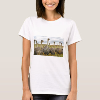 Strauß T-Shirt
