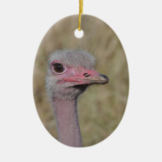 Strauß-Verzierung Keramikornament