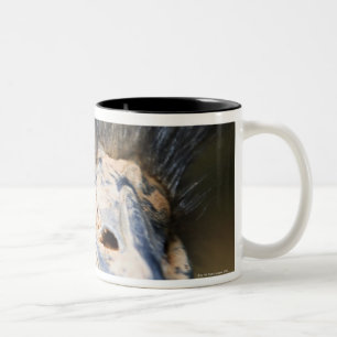 Strauß Zweifarbige Tasse