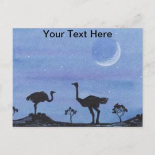 Strauße Postkarte