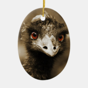 Strauße Schmuck Keramikornament