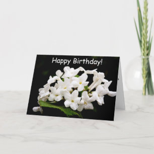 Sträuße weißer Blumen Karte