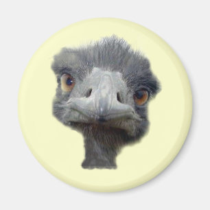 Straußenkopf Magnet