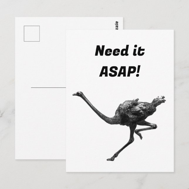 Straußenmatte Sketch, Coole Vogelkunst Postkarte (Vorne/Hinten)