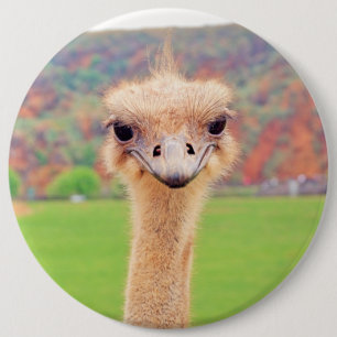 Straußenportrait Button