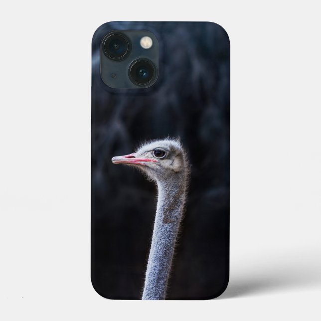 Straußenportrait Case-Mate iPhone Hülle (Rückseite)