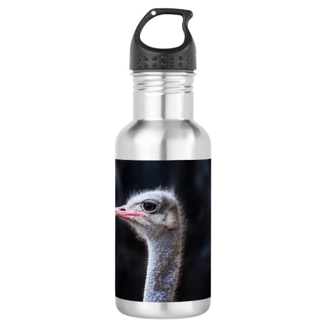 Straußenportrait Edelstahlflasche (Vorderseite)