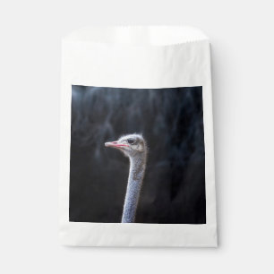Straußenportrait Geschenktütchen