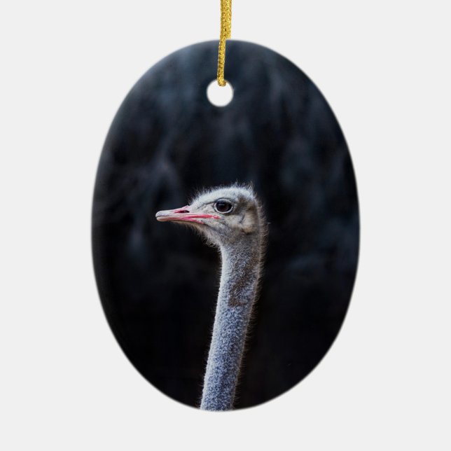 Straußenportrait Keramik Ornament (Vorne)