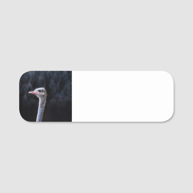 Straußenportrait Namensschild (Vorderseite)
