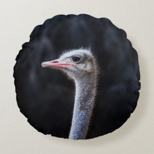 Straußenportrait Rundes Kissen