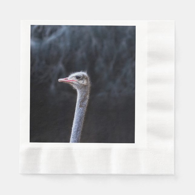 Straußenportrait Serviette (Vorderseite)