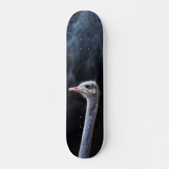 Straußenportrait Skateboard (Vorne)