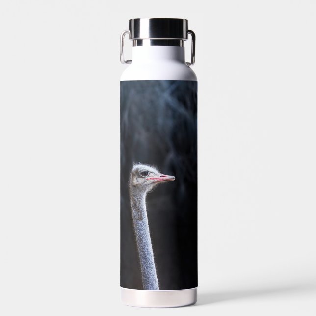 Straußenportrait Trinkflasche (Vorne)