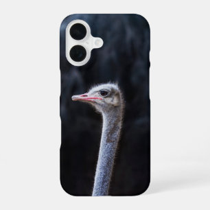 Straußenporträt iPhone 16 hülle