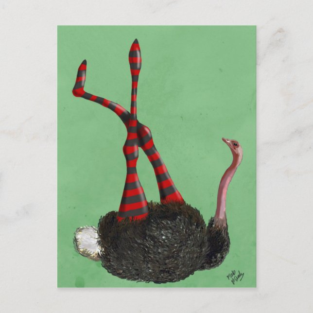 Straußenstrichene Leggings Postkarte (Vorderseite)