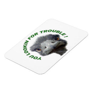 Straußproblem Magnet