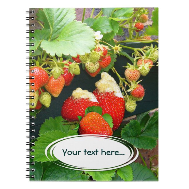 Strawberry Basket ~ Ihr TextNotebook Notizblock (Vorderseite)