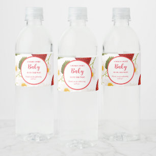 Strawberry Berry Sweet Baby Dusche