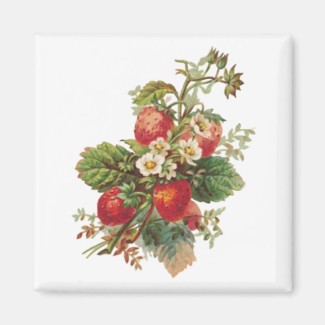 Strawberry Blooms Magnete Magnet (Vorne)