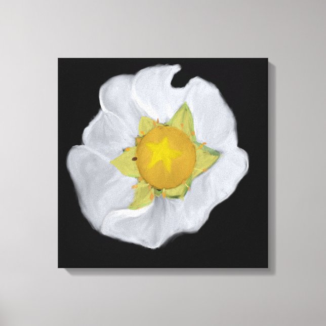 Strawberry Blossom Stretched Leinwand (Vorderseite)