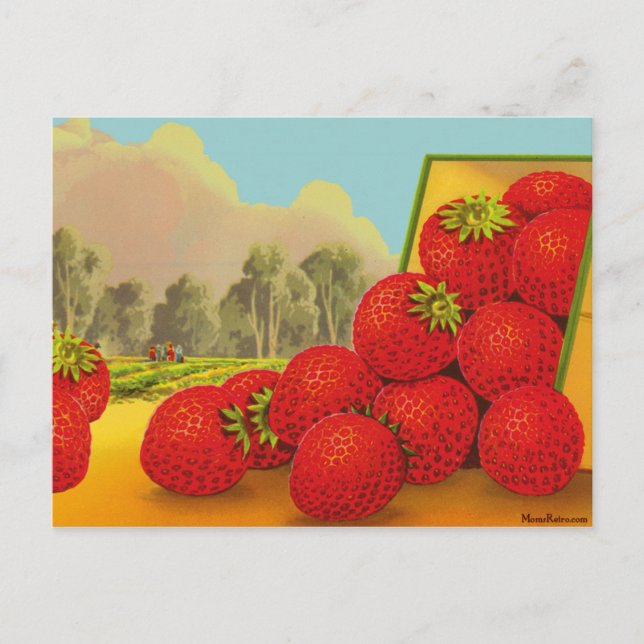 Strawberry Crate Art Custom Rezept Card Postkarte (Vorderseite)