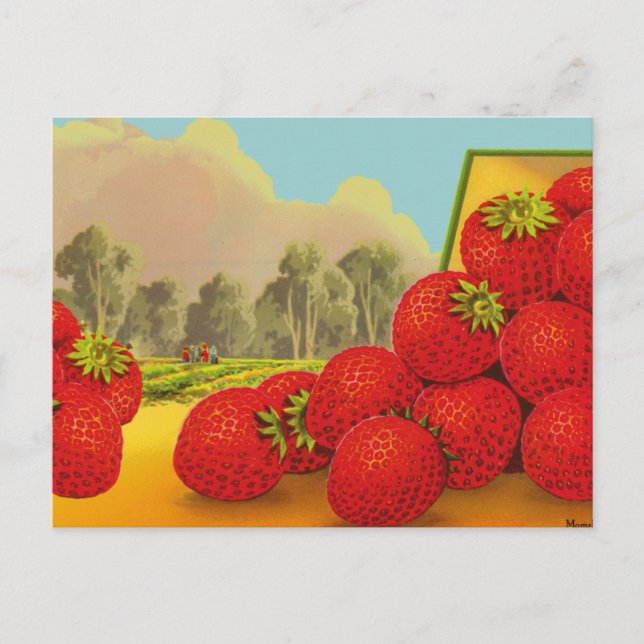 Strawberry Crate Label Art bearbeitbar Vintag Blan Postkarte (Vorderseite)